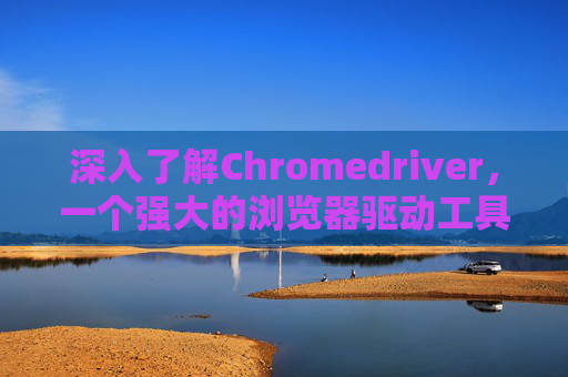 深入了解Chromedriver，一个强大的浏览器驱动工具